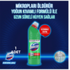 Domestos Çamaşır Suyu Yoğun Kıvamlı Maksimum Hijyen Dağ Esintisi 750 ml